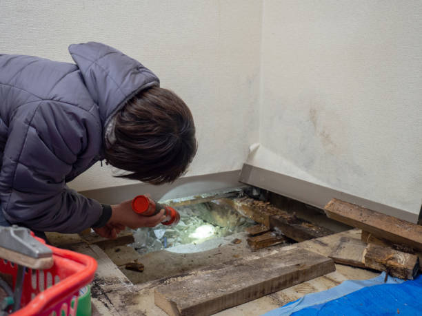 Best Comprehensive Air Testing for Mold Contaminants  in Darlington, WI