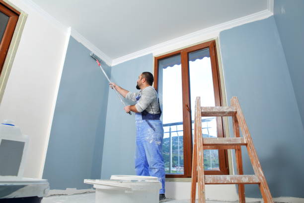 Mold Documentation for Insurance Claims in Darlington, WI