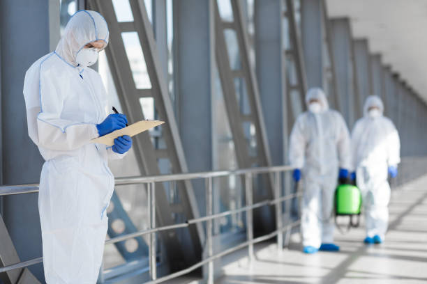 Best Mold Removal for HVAC Installations  in Darlington, WI