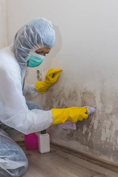 Best Real Estate Mold Inspection  in Darlington, WI
