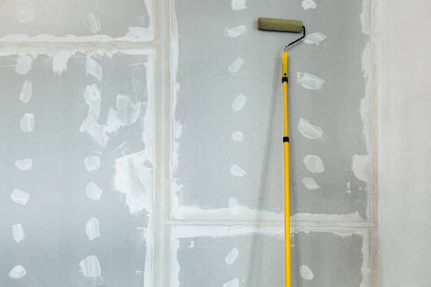 Reliable Darlington, WI Mold Removal Solutions