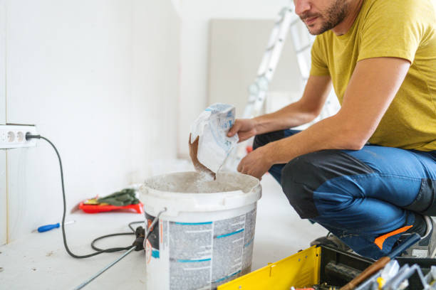 Best Mold Odor Removal Services  in Darlington, WI
