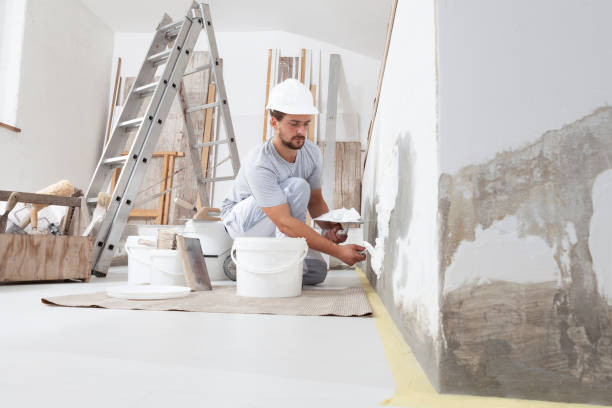Best Mold-Related Health Consultation  in Darlington, WI