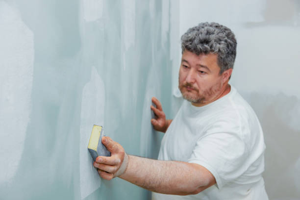 Best Mold Remediation for Healthcare Facilities  in Darlington, WI
