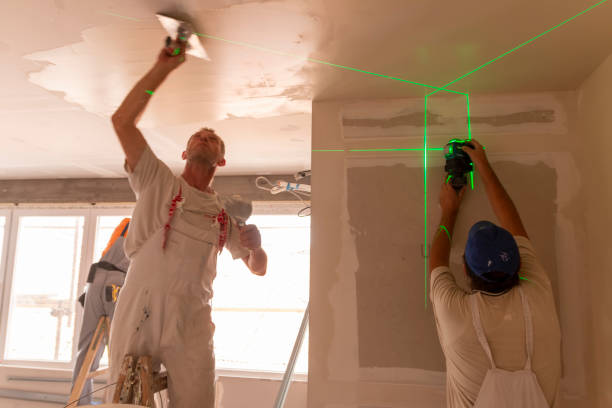 Best Attic Mold Removal  in Darlington, WI