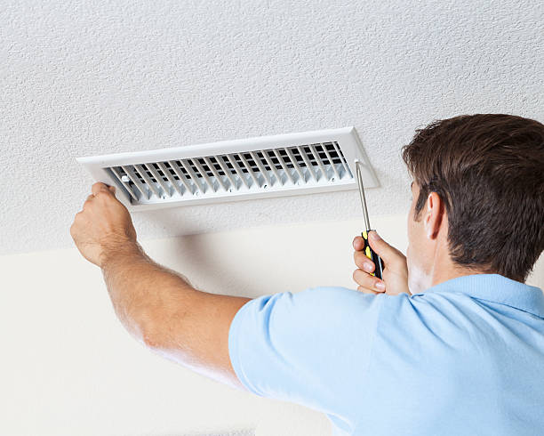 Best Biohazard Mold Removal  in Darlington, WI