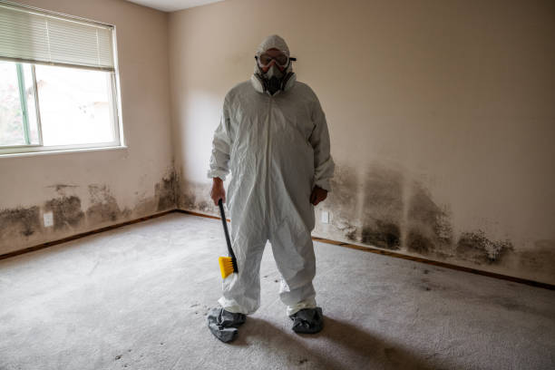 Best Air Quality Testing for Mold Spores  in Darlington, WI