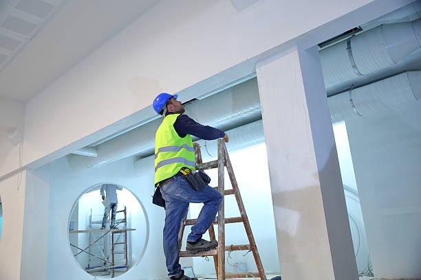 Best Dehumidification Services  in Darlington, WI
