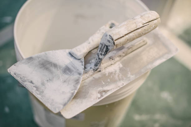 Best Asbestos and Lead Testing During Mold Inspection  in Darlington, WI