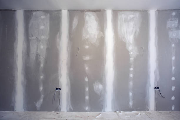 Best Dehumidification Services  in Darlington, WI