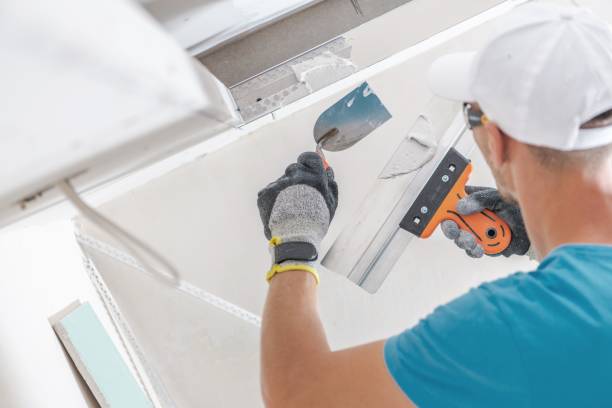 Best Airborne Mold Testing  in Darlington, WI